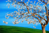 Money Tree