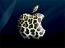 Mac OS X Leopard Mac OS X Leopard