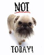 Not today