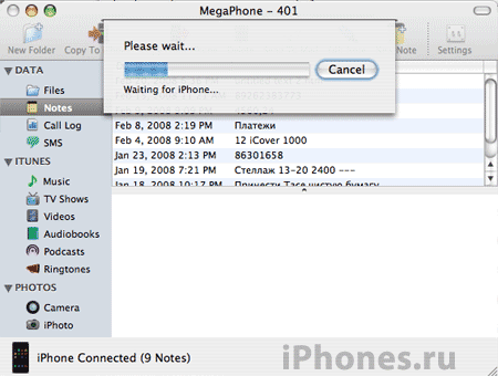MegaPhone