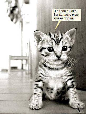 Котенок