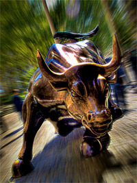 bull
