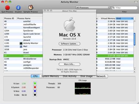 snowleopard-080610-1