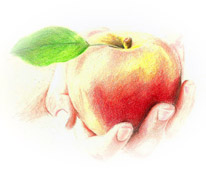 apple