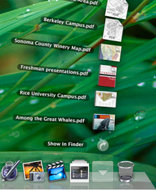 leopard-desktop-stack