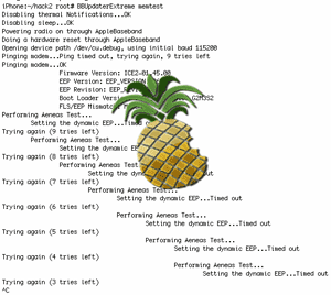 devteam