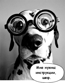 айфон-собака