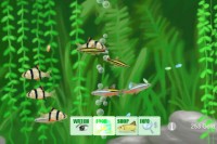 Aquarium