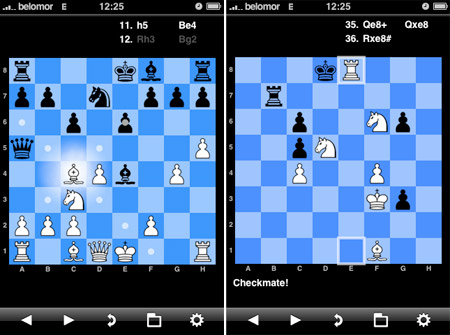 t chess