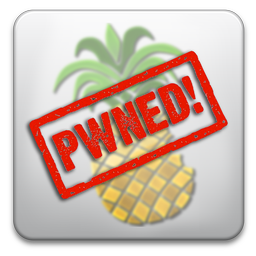 pwnagetool_small81411