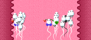 00-isperm 00-isperm
