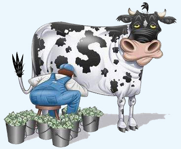 cow