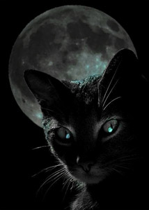 black-cat-moon1