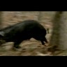 Discovery Channel