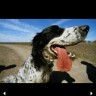 Discovery Channel