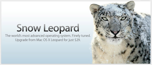 snow-leopard snow-leopard