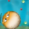 Blowfish Blowfish