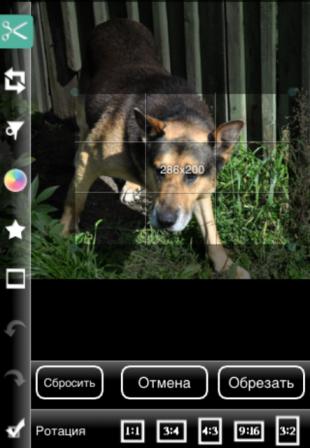 Photogene Photogene