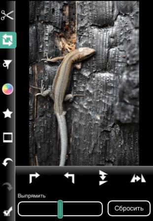Photogene Photogene