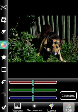 Photogene Photogene