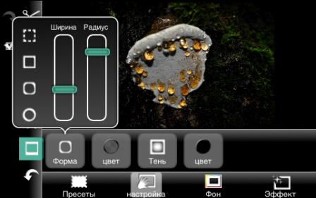 Photogene Photogene