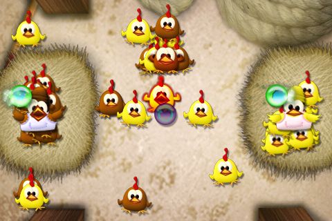 Chicks on the loose Chicks on the loose