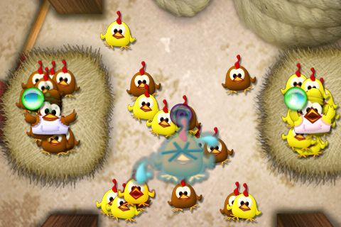 Chicks on the loose Chicks on the loose