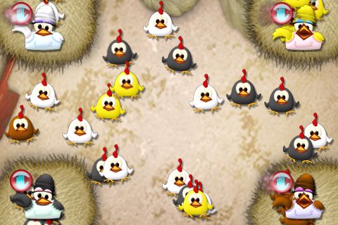Chicks on the loose Chicks on the loose