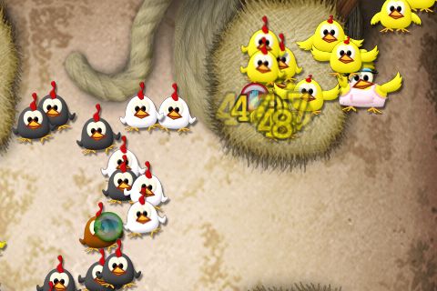 Chicks on the loose Chicks on the loose