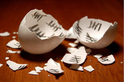 eggs