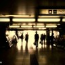 03-photo-frog-3gs 03-photo-frog-3gs