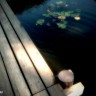 05-photo-frog-3gs 05-photo-frog-3gs