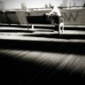 10-photo-frog-3gs 10-photo-frog-3gs