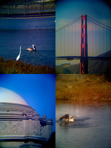 09-iphone-objective