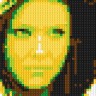 Lego Girl Lego Girl