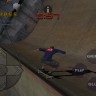 skate6