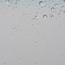 wall17