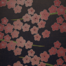 wall4