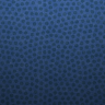 wall5
