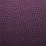 wall6