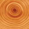 wall7