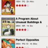 netflixiphone5