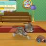 touchpetscats_03