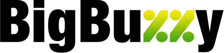 bigbuzzy_about