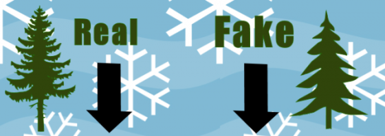 real_vs_fake