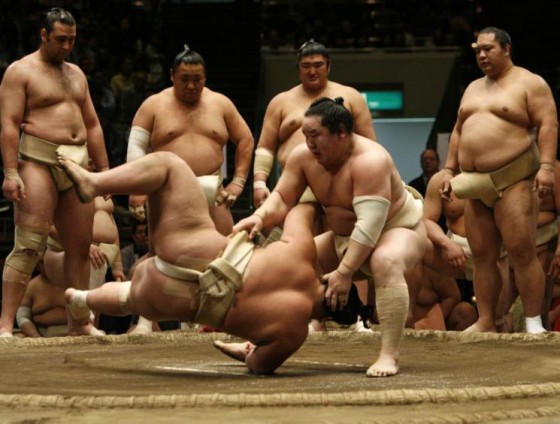 sumo