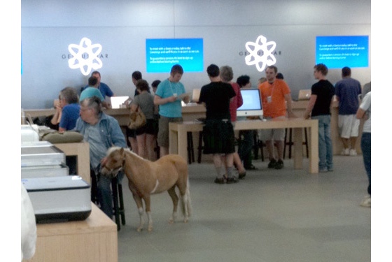 02_Apple_Store_Pony_2