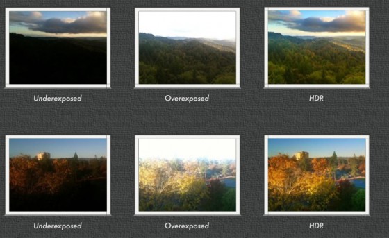 prohdr