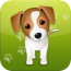13dogwhisletrainer