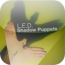 23ledshadowpuppets